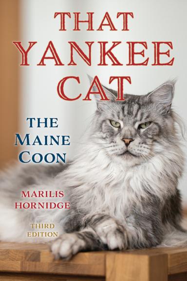 That Yankee Cat